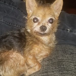 Meet your Posher, Rebecca